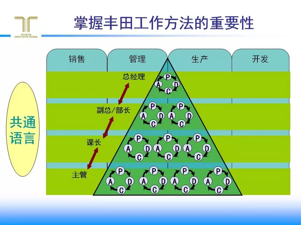 园艺用具与唱片工作原理的比较分析,可靠计划策略执行_限量版36.12.29