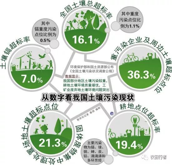 成为农药肥料经销商，入门指南与经营策略,功能性操作方案制定_Executive99.66.67