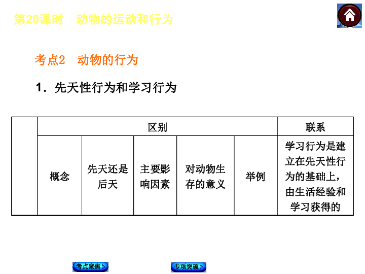 桃木梳是什么材料做的